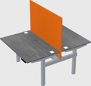 Shared electric desk