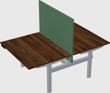 Shared electric desk