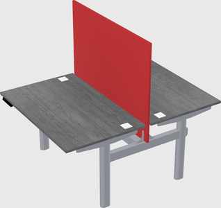 Shared electric desk