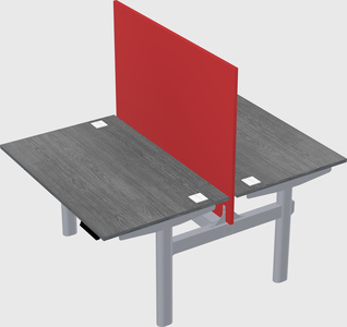 Shared electric desk