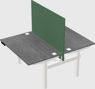 Shared electric desk