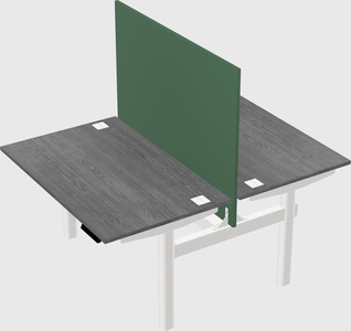 Shared electric desk