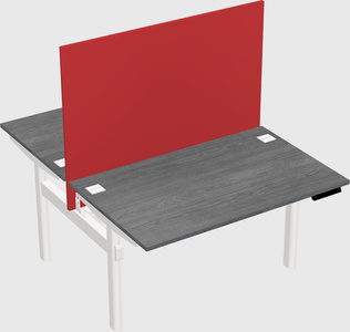 Shared electric desk