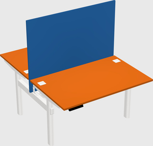 Shared electric desk