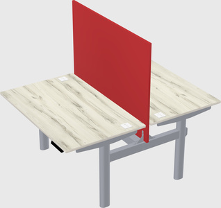 Shared electric desk