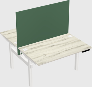 Shared electric desk