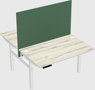 Shared electric desk