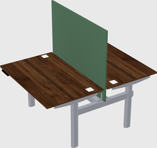 Shared electric desk