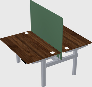 Shared electric desk