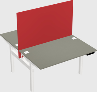 Shared electric desk