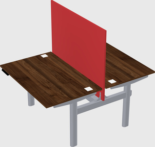 Shared electric desk