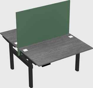Shared electric desk