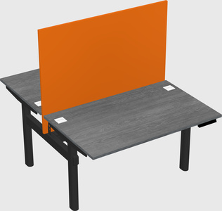 Shared electric desk