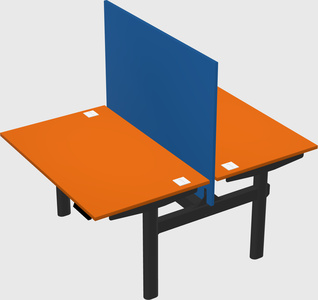 Shared electric desk