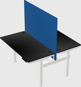 Shared electric desk