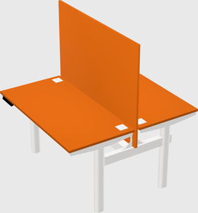 Shared electric desk