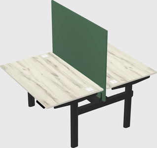 Shared electric desk