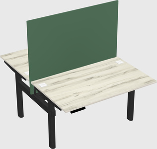 Shared electric desk