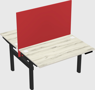 Shared electric desk