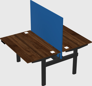 Shared electric desk