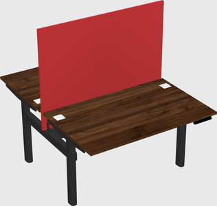 Shared electric desk