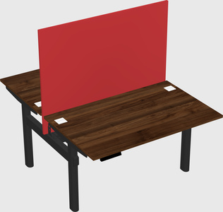 Shared electric desk