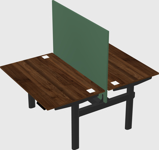 Shared electric desk