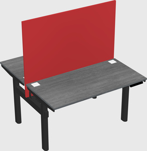 Shared electric desk