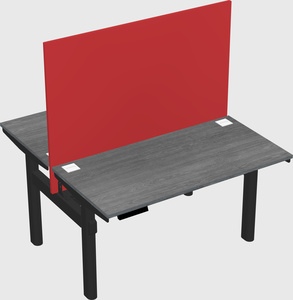 Shared electric desk