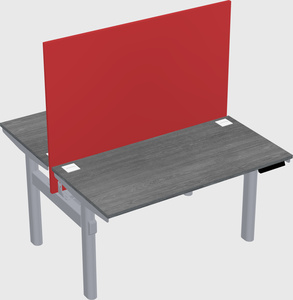 Shared electric desk