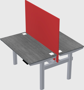 Shared electric desk