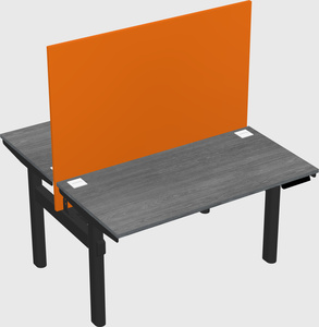 Shared electric desk