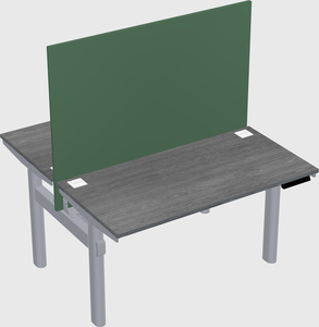 Shared electric desk