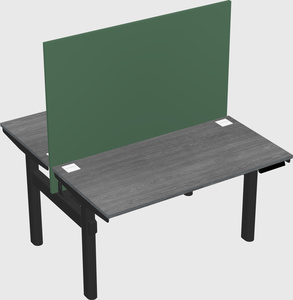 Shared electric desk