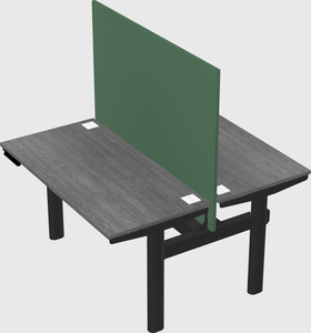 Shared electric desk