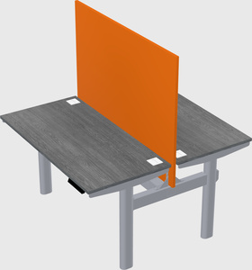 Shared electric desk