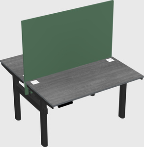 Shared electric desk