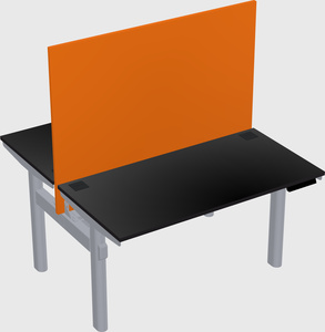 Shared electric desk