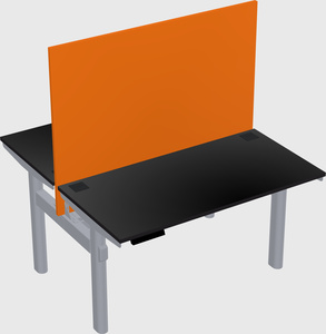 Shared electric desk