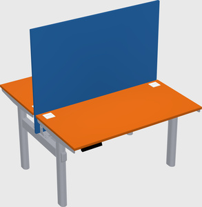 Shared electric desk