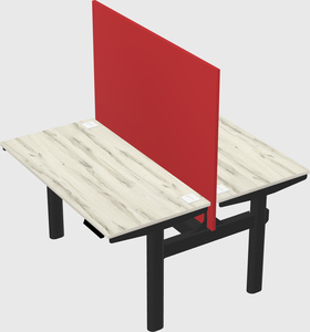 Shared electric desk