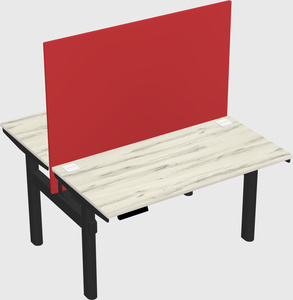 Shared electric desk