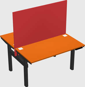 Shared electric desk