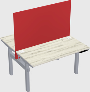 Shared electric desk