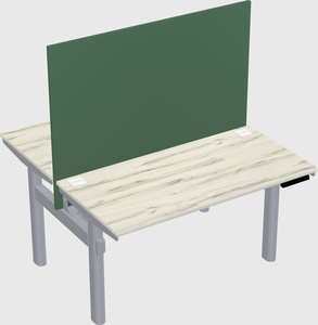 Shared electric desk