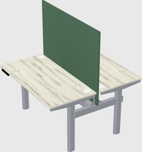 Shared electric desk