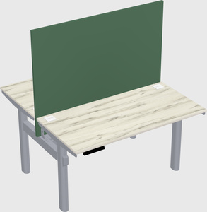 Shared electric desk