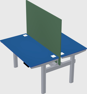 Shared electric desk