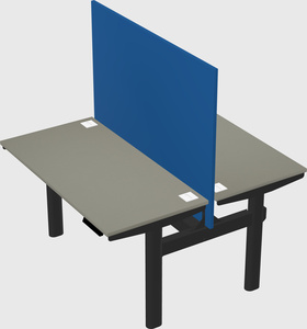 Shared electric desk