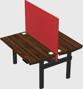 Shared electric desk